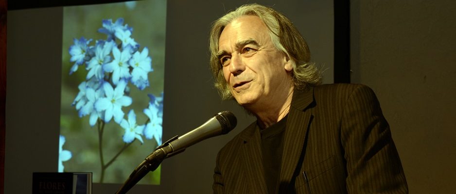 Lanzamiento libro “Flores del Norte Grande”