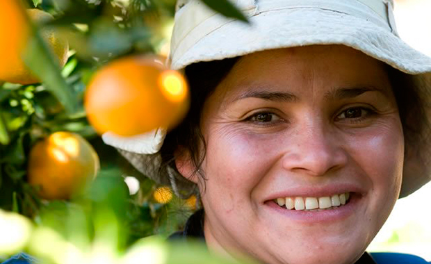 LIBRO LA GENTE DE LA FRUTA