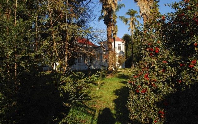 PASEO A EL HUIQUE