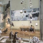 Museo de Historia Natural