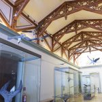 Museo de Historia Natural