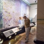 Museo de Historia Natural