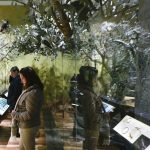 Museo de Historia Natural