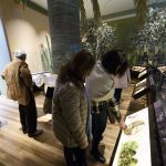 Museo de Historia Natural