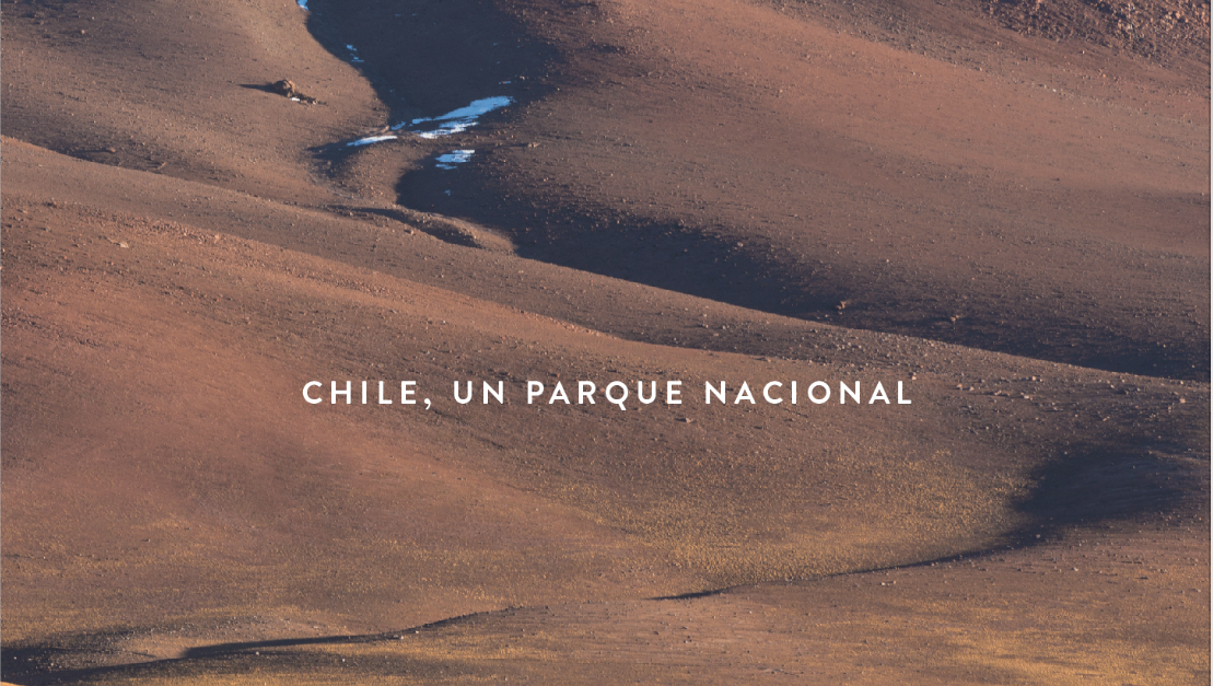 LIBRO PARQUES NACIONALES DE CHILE