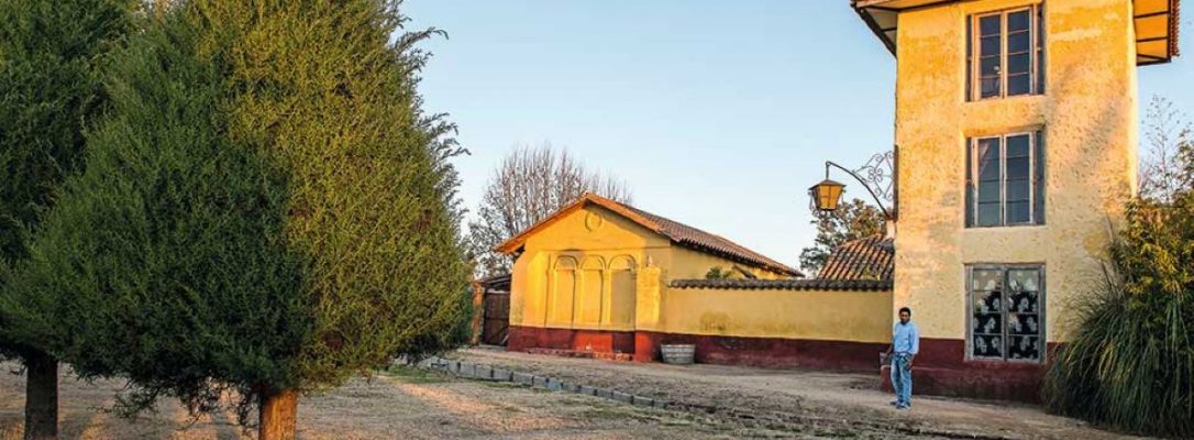 PASEO HACIENDA CLOS SANTA ANA VALLE DE COLCHAGUA