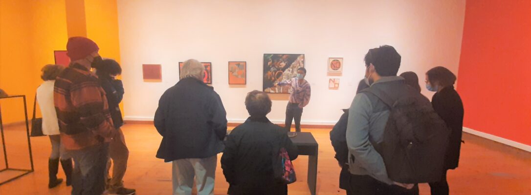 VISITA GUIADA AL MUSEO DE ARTE CONTEMPORÁNEO