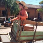 La carreta y el niño, de Magdalena Novoa