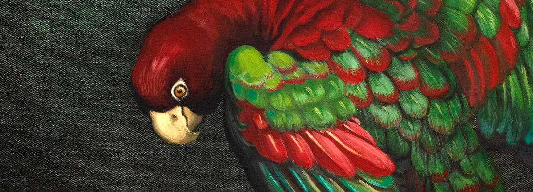 EXPOSICIÓN “PÁJARO NOCTURNO”: RECORDANDO A PEDRO “CHOCLO” ERLWEIN
