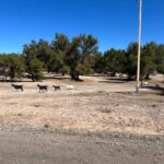 Localidad de Peine, en la comuna de San Pedro de Atacama