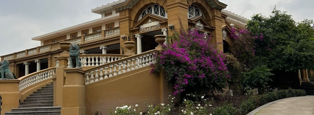 VISITA GUIADA AL PALACIO RIESCO