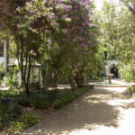 Jardines interiores del convento de San Francisco